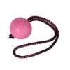 Dingo 17251 Balles de sport BIBI pour entraînement # 70 avec poignée 30 cm Couleur baie Balles flottantes en caoutchouc Apport Jeu avec chien