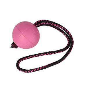 Dingo 17251 Balles de sport BIBI pour entraînement # 70 avec poignée 30 cm Couleur baie Balles flottantes en caoutchouc Apport Jeu avec chien