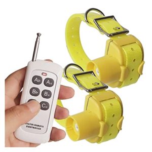 Collier de bipeur télécommandé de Formation de Chien for Le Chien de Chasse dans Les Colliers de Suivi Rechargeables for 2 Chiens BNF