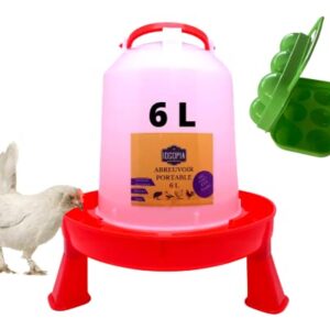 Abreuvoir poule avec réservoir 6L et boite à œufs abreuvoir pour poules poussin, volaille Distributeur automatique eau propre pour poulailler ou extérieur