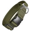 OneTigris Collier pour Chien avec Boucle en métal pour Chien – Vert M