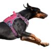 BUMBIN Harnais tactique pour chien de petite taille – Harnais anti-traction – Pour chien – Harnais réfléchissant intelligent pour chien – Harnais réglable avec poignée – Rose rouge – Taille L