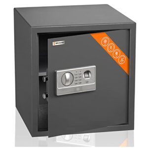 Brihard Coffre-Fort biométrique électronique - 2-en-1 Clavier numérique et Empreinte Digitale - Grand Coffre-Fort Serrure Antichoc à LED, 40x38x38 cm