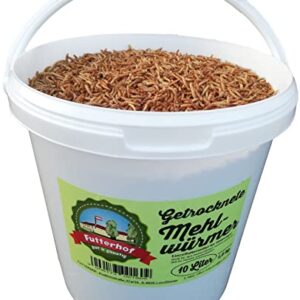 Futterhof vers de Farine Séchés Seau de 10 L (= 1,65 kg), Premium Qualité, Livraison Gratuite