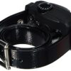 Dogtra YS 600 Collier-Récepteur avec Chargeur pour Chien