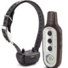Garmin Delta Sport System de