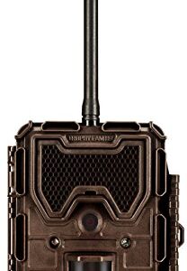 Bushnell - 119598 - Trophy Cam HD - Piège Photo Numérique - 8 MP