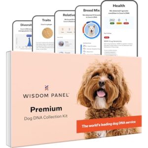 Wisdom Panel Premium : Test ADN de Chien Le Plus Complet pour Plus de 260 Tests de santé | Identification et Ascendance précis de la Race | Traits | Parents | Diversité génétique | Consultation