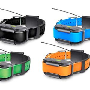 Dogtra Pathfinder Collier Supplémentaire pour Chien Vert