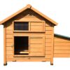 Pets Imperial® Savoy Poulailler avec Nichoir Simple – Poulailler en Bois avec Plateau Coulissant Et Toit Ouvrant