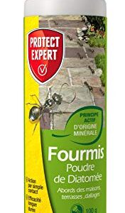 PROTECT EXPERT FPNAT100 Fourmis Poudre De Diatomée 100g Longue Durée, Action par Simple Contact