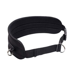 LASALINE Canicross Ceinture Abdominale pour Laisse de Chien Noir