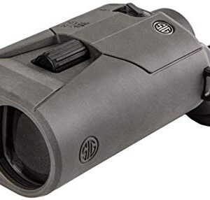 Sig Sauer ZULU6 SOZ61601 Jumelles 16 x 42 mm Schmidt-Pechan stabilisé d'image Graphite