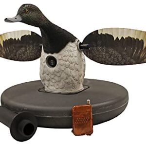 Mojo Elite Series Flotteur Leurre pour chasse au canard, Bluebill