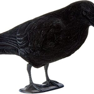 EUROHUNT Verrou avec Pied Flottant Noir