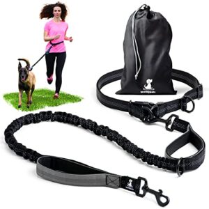 Laisse Mains Libre pour Chien Grande et Moyenne Taille – Laisse Anti-Traction avec Coutures réfléchissantes pour Chien - Accessoire Chien pour Le Jogging, la Marche à Pied, la randonnée, l’Escalade