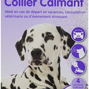 BEAPHAR – NO STRESS – Collier calmant à la Valériane pour chien – Réduit le stress et les problèmes comportementaux sans dépendance ni somnolence – 1 collier 65 cm – 4 semaines d'action
