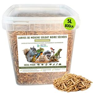 Larve de Mouche Soldat Noire 800g (équivalent 5 litres) Qualité Premium, Black Soldier Fly : Friandise pour Oiseaux, Hérissons, Tortues, Reptiles, Poissons, Rongeurs - 100% Naturel et sans additifs
