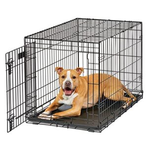 MidWest Homes for Pets Midwest Life Stages Cage avec Porte Pliante pour Chien, 91,44 cm par 60,96 cm par 68,58 cm
