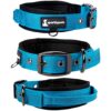 Collier pour Chien SparklyPets Hyper résistant avec poignée pour Chiens de Taille Moyenne et Grande – Collier Professionnel avec des Points de Suture réfléchissants, poignée Souple et Boucle nickelée