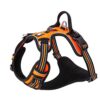 Harnais pour Chien No Pull Nylon Souple Réfléchissant Réglable pour Petit Grand Animal Domestique TLH56512(L, Orange)