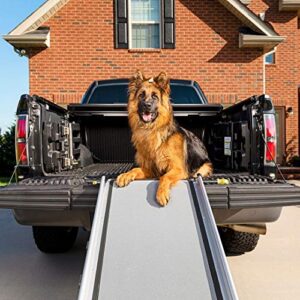 PetSafe Rampe télescopique extra longue, latérale, transportable pour chiens Happy Ride. Convient à différents types de véhicules. Cadre aluminium résistant jusqu'à 136 kg, surface à traction élevée