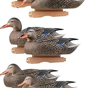 GreenHead Gear Pro-Grade Lot de 6 boîtes de Rangement pour Saisons
