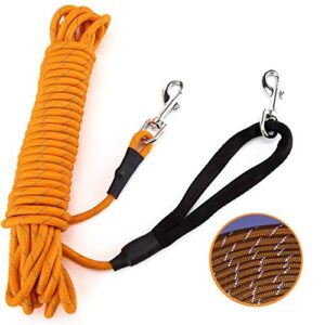 PETTOM Longe pour Chien 10m, Longe Corde Dressage Réfléchissante, Longe d'attache Nylon pour Chien Petit/Moyen/Grand - Orange