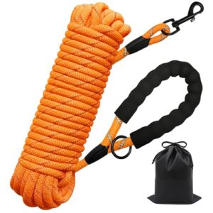 GNGNBH Longe pour Chien 10m - Laisse de Dressage avec Poignée Confortable pour Les Activités de Plein Air - Longueur Ajustable pour Petits et Grands Chiens Nylon Durable pour Une Meilleure Visibilité