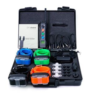 Dogtra 4504 Edge Collier de Dressage pour Chien