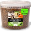 UGF – Les vers de Farine Premium, Seau de 3 litres, Collation d’Insectes pour Oiseaux Sauvages, Hamsters, Hérissons, Rats, Lézards, Tortues – sans Conservateurs et Colorants Artificiels