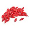 Evilandat Lot de 20/50 Eau Mamelons Abreuvoirs Alimentateur Fournitures de Volaille Pour Poule Canard