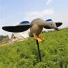 VARADOMO Simulation électrique télécommandée Volant Canard Animal Accessoires de Chasse en Plein air décoration de Jardin pour l’extérieur, Patio, Chasse à l’arrière-Cour