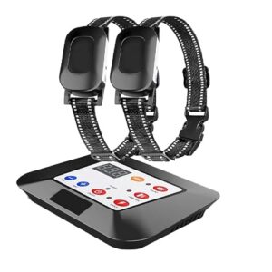 SystèMe de ClôTure Chien éLectronique sans Fil, ClôTure sans Fil 2 en 1 Et Collier de Dressage Pour Chien, PortéE Jusqu'à 300 M/ClôTure éLectrique éTanche et Rechargeable Ip67 Pour Chiens (2 chiens)