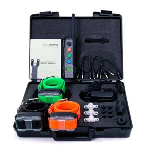 Dogtra 4503 Edge Collier de Dressage pour Chien