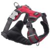 RED DINGO Bavoir Matelassé pour Chien