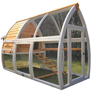 Pets Imperial® Poulailler Dorchester Poulailler Lapinière pour 3 à 4 Oiseaux