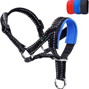 Licol pour Chien avec Sangle Réfléchissante, Dressage Collier Tête De Chien, Réglable Et Facilement Contrôlable. (M,Bleu)