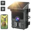 Camera de Chasse Solaire 4K 30FPS 46MP, Camera Chasse WiFi Bluetooth Batterie Rechargeable Intégrée, Caméra de Chasse Nocturne Infrarouge Étanche IP66 Grand Angle 120° Vitesse de Dclenchement 0,2s