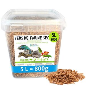 vers de Farine Séchés - 800g = 5L - Nourriture pour Poissons, Oiseaux, Tortues, Hérissons, Rongeurs et Reptiles