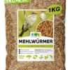 Ewl Naturprodukte vers de Farine séchés, 1 kg Correspond à 6500 ML, friandises pour Oiseaux, Poissons, Tortues, rongeurs et Reptiles