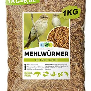 Ewl Naturprodukte vers de Farine séchés, 1 kg Correspond à 6500 ML, friandises pour Oiseaux, Poissons, Tortues, rongeurs et Reptiles