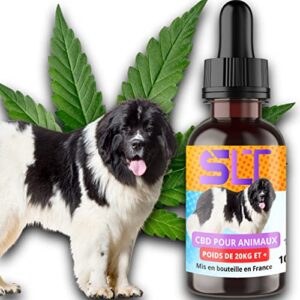 SLT Huile Bio Antistress pour Animaux DE 20KG et Plus, CALMANTE et APAISANTE. Elle traite Les Troubles du comportement, du Sommeil et l'anxiété des Animaux. ingrédients naturels. société française