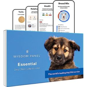 Wisdom Panel Essential - Test ADN pour Chien pour l’Ascendance, Les Traits et Les complications médicales, 75 g