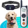 Clôture Électronique pour Chien,8M à 1050M Ajustable Clôture pour Chien,Résistant à L’Eau Collier de Dressage pour Chiens de Moyennes et Grandes