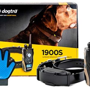 Dogtra 1900S Collier de dressage pour chien avec télécommande et localisateur pour chien avec gant de toilettage en silicone souple