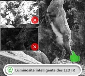 Dates de fermeture de la saison chasse 2020-2021