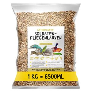 Larves de mouches soldats séchées - Black Soldier Fly - 1 kg (équivalent à 6,5 l) Aliment en sachet, collation riche en protéines pour oiseaux sauvages, poissons, reptiles, tortues et hérissons