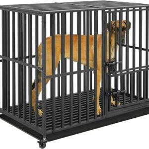 BingoPaw Cage Chien Interieur Solide: Caisse de Transport L sur Roulette Grand Chien Grande Taille - Cages Robuste Extérieur pour Gros Chiens en Métal avec 3 Porte et Plateau Amovible 95x81x57cm