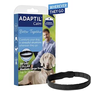 ADAPTIL Calm – Anti-stress pour chien – Collier Moyens et Grands Chiens – Taille M/L